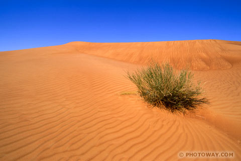 Fichier:EAU04 240-survie-desert.jpg