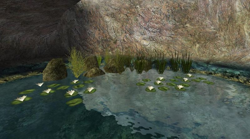 Fichier:Nénuphards et plantes d eau.jpg