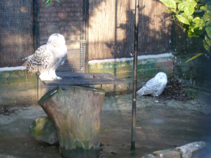 r_P1000147.JPG