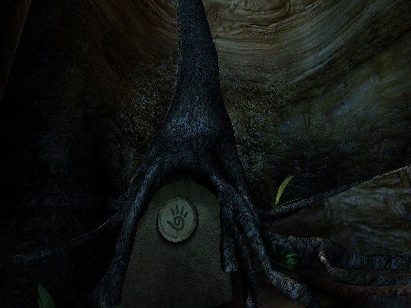 Fichier:URU-désert-grand-arbre.jpeg
