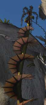 Fichier:Edanna plantes spirale.jpg