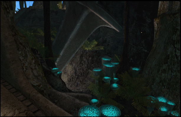 Fichier:Champignons bleus.jpg