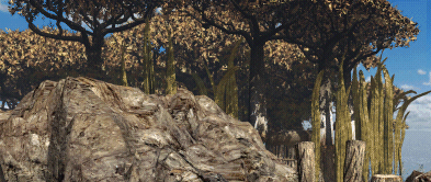 Fichier:Faîte de la forêt.jpg