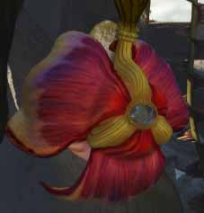 Fichier:Edanna fleurs.jpg